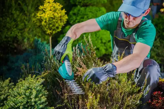 landscaping services Sebewaing